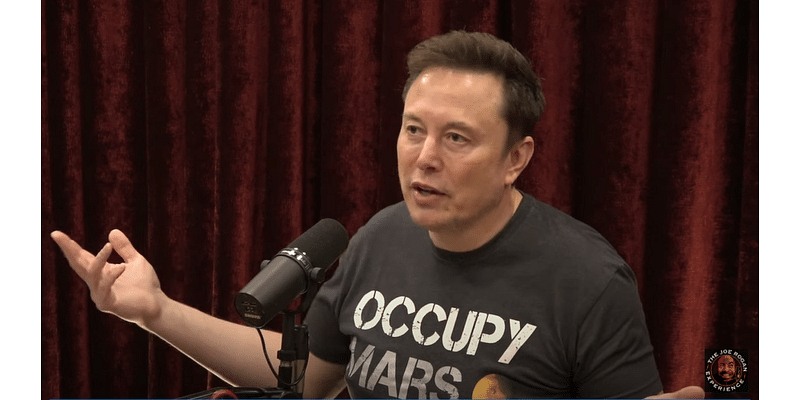 Elon Musk warns if Harris wins she will 'sic the DOJ' on X to shut it down