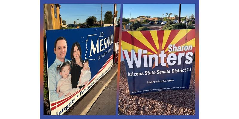 Democratic newcomer challenges experienced GOP senator in pivotal Chandler district