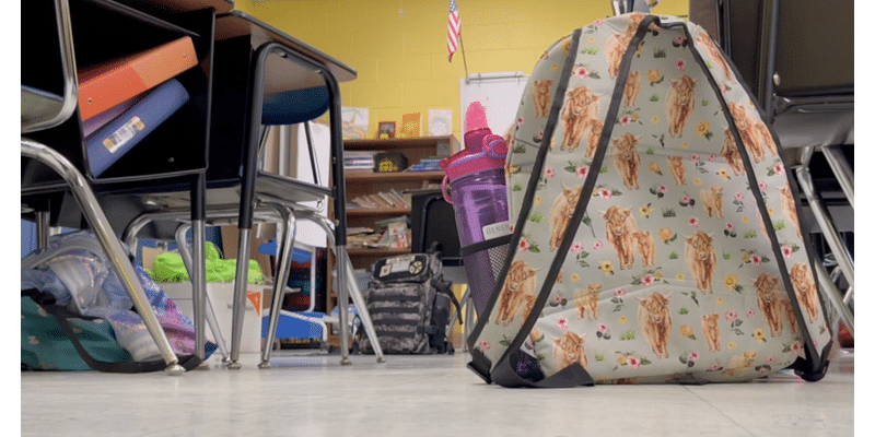 Substitute teacher shortage hits schools nationwide, Gatesville ISD seeks local support