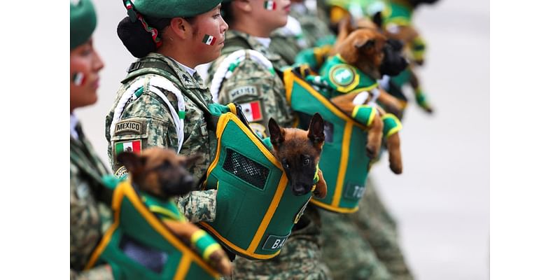 Mexico Independence Parade, Trump’s Second Assassination Attempt: Photos of the Week