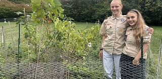 Shaker Heights students plant a fast-growing forest in their neighborhood