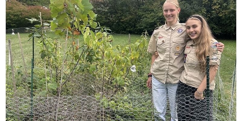 Shaker Heights students plant a fast-growing forest in their neighborhood