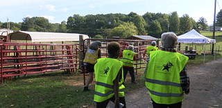 Temporary animal shelter walk-through prepares Tri-Cities livestock owners for emergencies