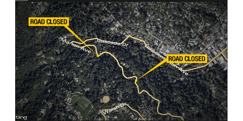 Road closed in Mill Valley after tree falls into power lines