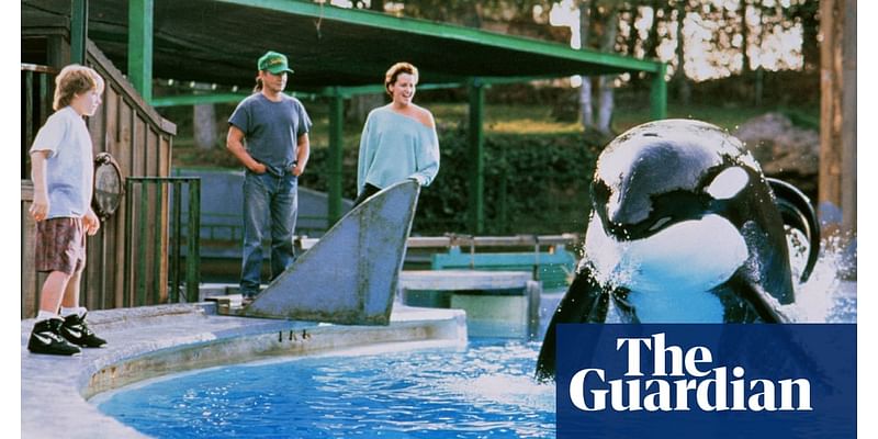 Serial tells the true tale of Free Willy’s titular whale