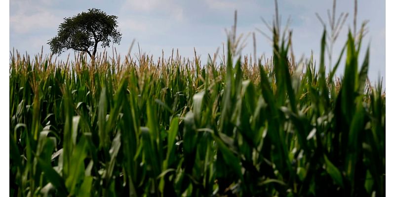 2024 crop marketing seminar is Nov. 20 in Rock Falls