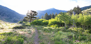 First things first: Designate all Greater Yellowstone Wilderness Study area as wilderness