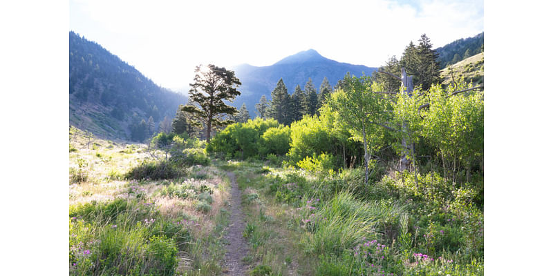 First things first: Designate all Greater Yellowstone Wilderness Study area as wilderness