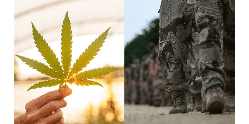 Helping Texas veterans with PTSD: Goodblend offers free medical marijuana prescriptions