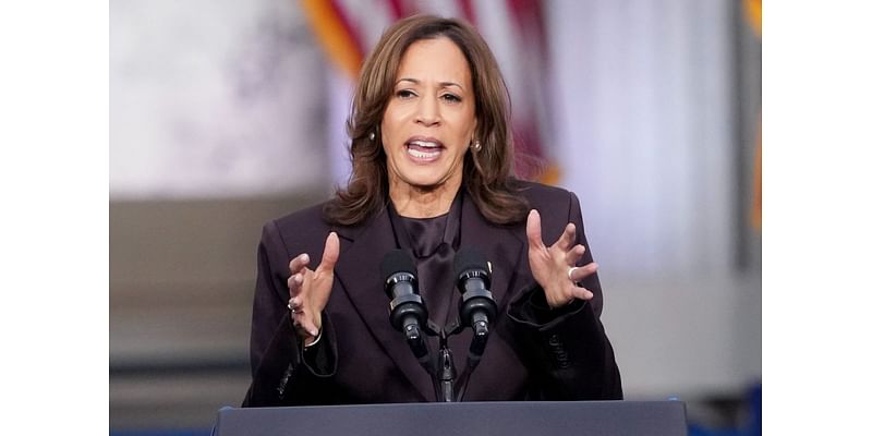 Harris concedes presidential loss, urges supporters to 'keep fighting' on Democratic principles