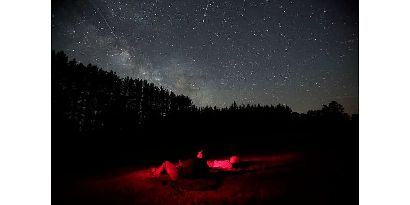 🌌 Stargazing 101 | Outdoorsy Newsletter