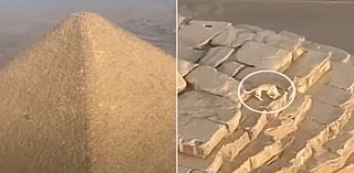 Paraglider Spots Dog on Top of the Great Pyramid of Giza, New Footage Shows How Pup Got Down