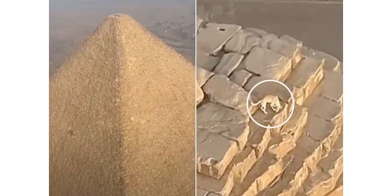 Paraglider Spots Dog on Top of the Great Pyramid of Giza, New Footage Shows How Pup Got Down