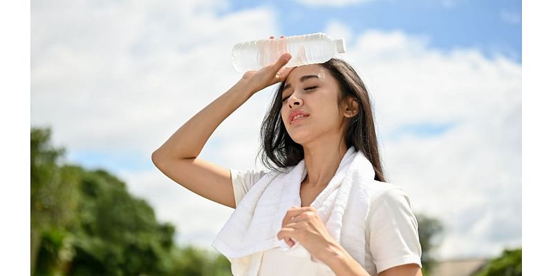 What happens to your body in a heatwave? Experts share why exposure to extreme heat can be fatal