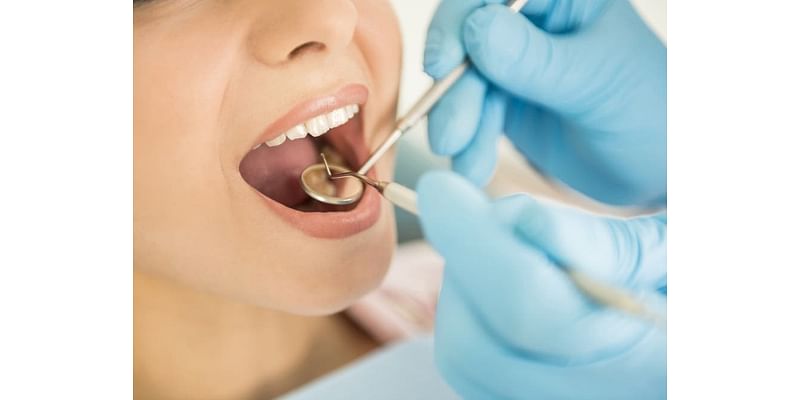 Free Dental Clinic To Be Held At Wilby High School In Waterbury