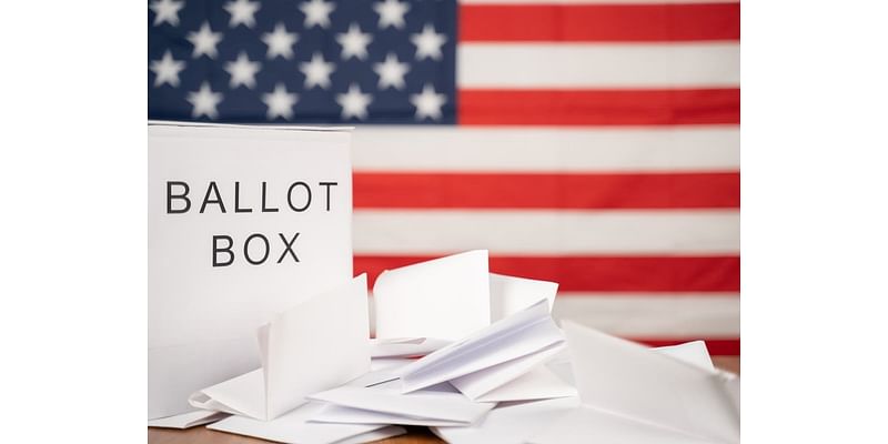 2024 Election In Princeton: Who Is On The Ballot?