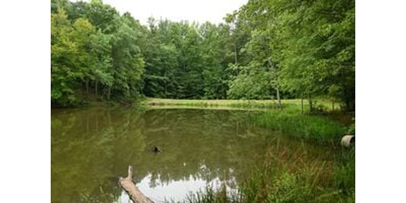 Closures at Lakhapani Preserve in Milton rescheduled after impacts of Tropical Storm Helene