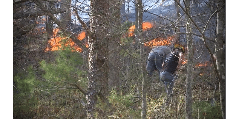 TN Department of Agriculture warns that homes built too close to tree lines could spark fires