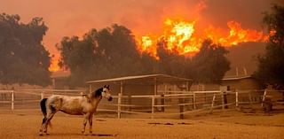 130+ structures destroyed in California wildfire as strong winds expected to subside