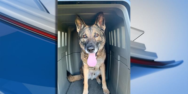 ELPD K9 responsible for ‘most captures in department history’ passes away