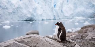 Experience The Antarctica Adventure Of A Lifetime On Seabourn Pursuit