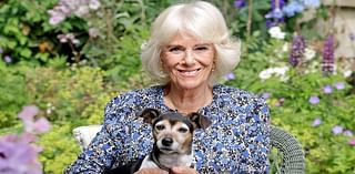 Inside Queen Camilla's sweet relationship with her 'very special' rescue dog Beth after her 'much loved companion' passed away