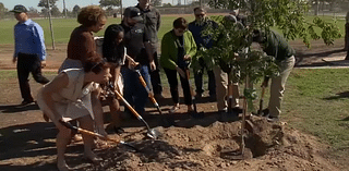 Hanford Goes Green planting over 600 trees with $1M grant