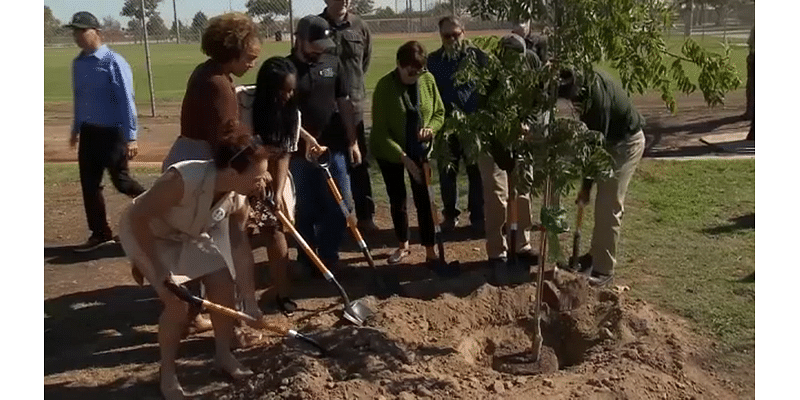 Hanford Goes Green planting over 600 trees with $1M grant