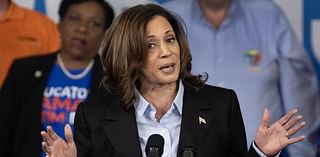 CNN Data Guru Warns Kamala Harris Polls Show 'Worst Democrat Performance in a Generation' Among Union Voters