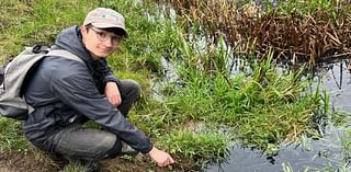 Wildlife fears as water turns black at nature spot