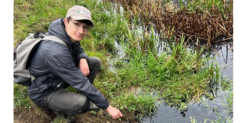 Wildlife fears as water turns black at nature spot