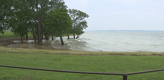 Study at Lavon Lake to improve recreation areas – NBC 5 Dallas