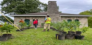 Make the most of early fall with a tree giveaway, pumpkin workshop or seasonal farm-to-table dinner