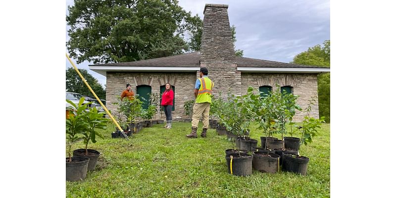 Make the most of early fall with a tree giveaway, pumpkin workshop or seasonal farm-to-table dinner