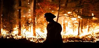 ‘No rain’: Wildfire burns along Palisades Parkway in New Jersey