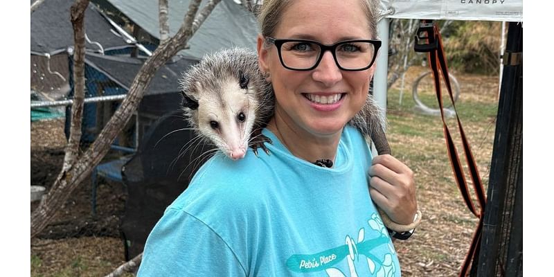 Local San Antonio nonprofit helps to rehabilitate animals