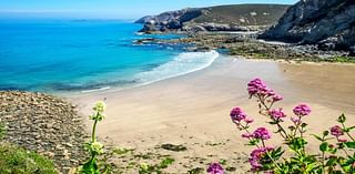 Cocaine worth £3.1m washes up on Cornish beach