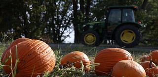 Here's a guide to pumpkin patches near Omaha offering fall-themed fun