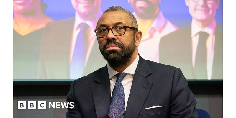 James Cleverly: 'Conservatives dropped the ball' at the election