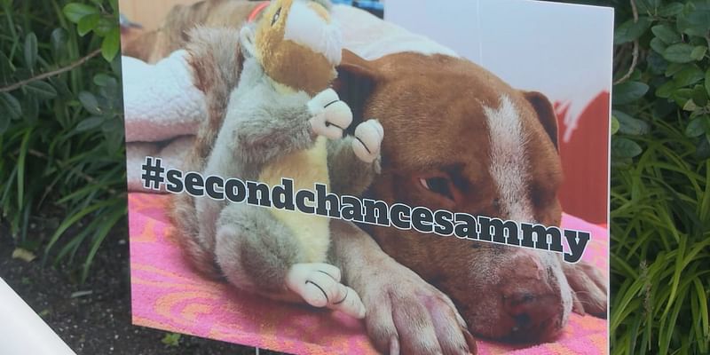 Animal Safety meeting held to answer questions on animal abuse