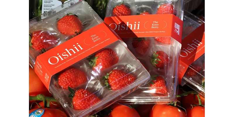 Are Oishii strawberries worth it?