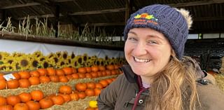 Pumpkin patch prevails after gourd-awful year