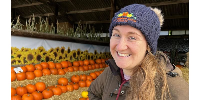 Pumpkin patch prevails after gourd-awful year