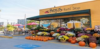 Argus Farm Stop has combined cafe, farm-fresh grocery for a decade