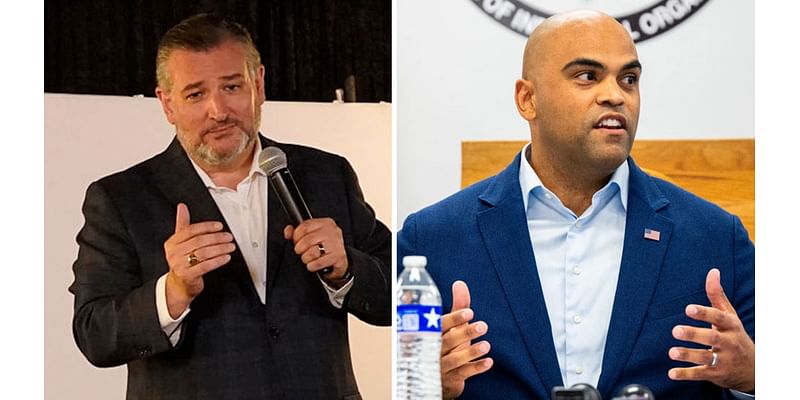 Ted Cruz, Colin Allred Senate race in the home stretch | Texas: The Issue Is