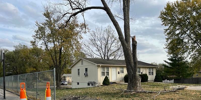 Student critically injured when tree falls on children outside elementary school