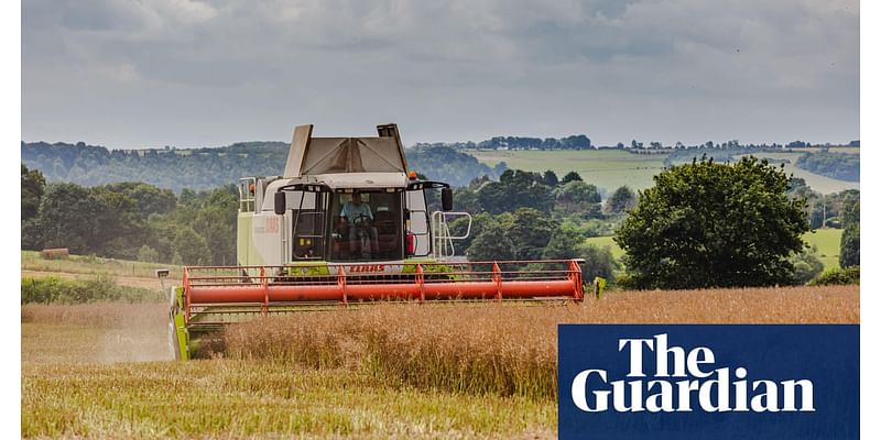 Farm income falls in England after extreme weather and subsidy cuts