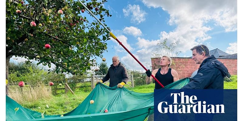 Country diary: The alchemical wonder of turning apples into juice