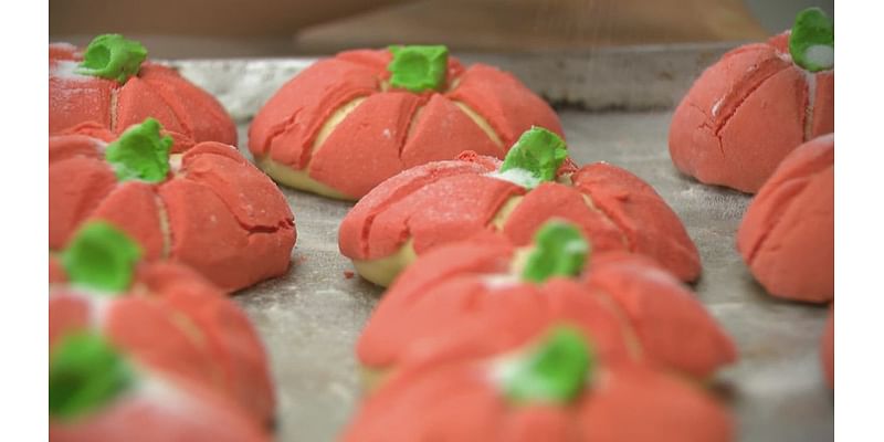 Pumpkin spice conchas | The Mexican sweet bread that’s gone viral in Houston