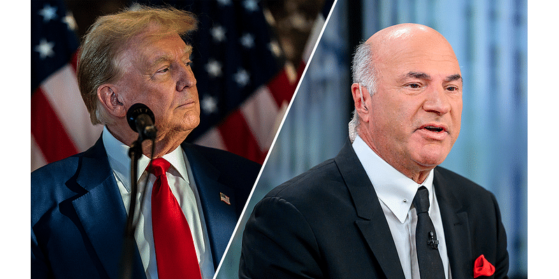 Trump knows ‘how the American economy was successful over 200 years,’ Kevin O'Leary says